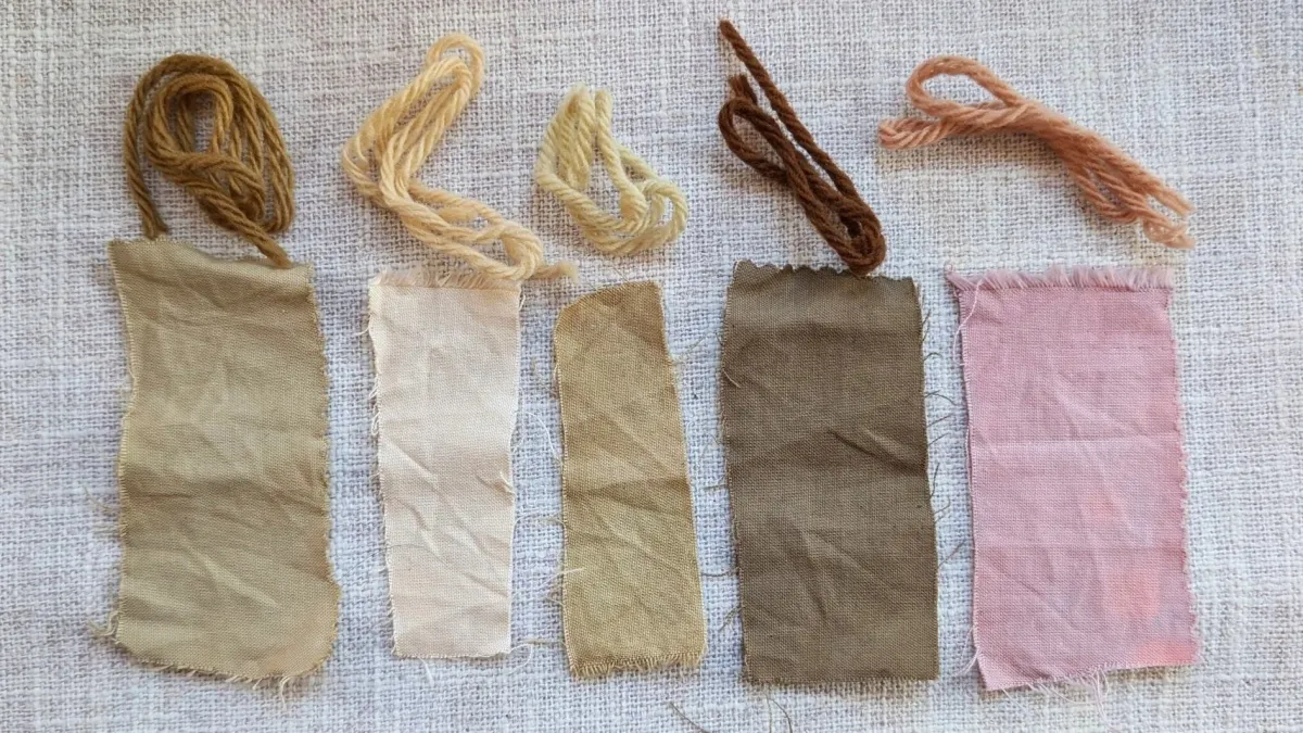 2024 foraged dyes: megapost