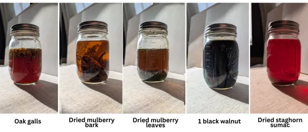 foraged dyes: process tl,dr