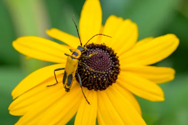 beginner macro part 1: equipment